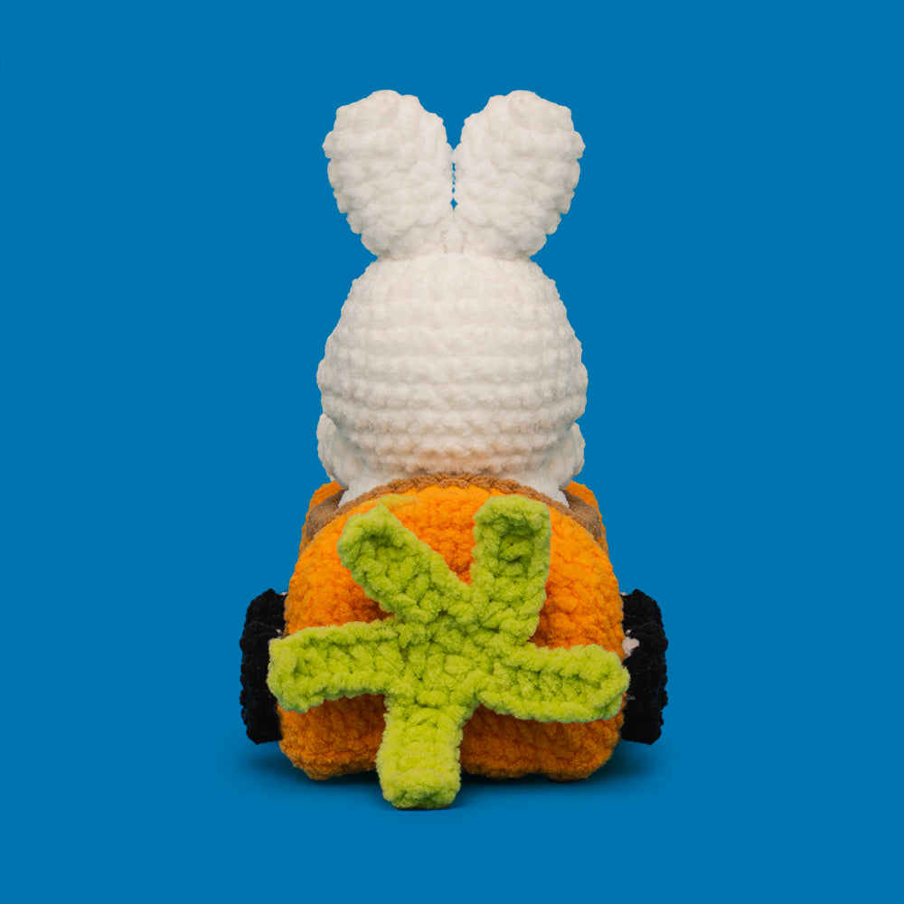 Bunny Racing Car Crochet Kit